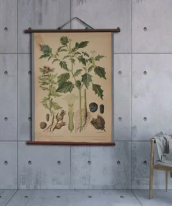 Scout Vintage Old-School Jimsonweed Botanical Science Poster