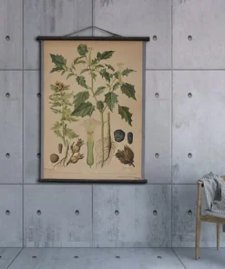 Scout Gifts Vintage Old-School Jimsonweed Botanical Science Poster With Black Hanger