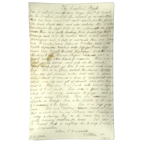 John Derian Central Park Essay Studio Tray Gifts 3 John Derian Central Park Essay Studio Tray Gifts