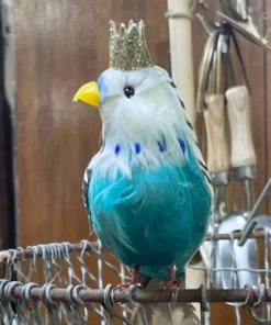 Scout Homewares Regal Feathered Budgie Decoration