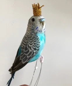 Scout Homewares Regal Feathered Budgie Decoration