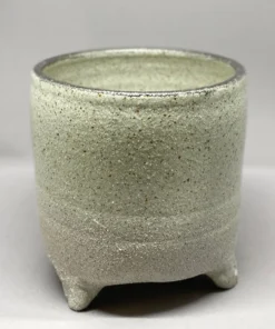 Scout House White Planter With Silver Leaf - Bridget Bodenham Gifts