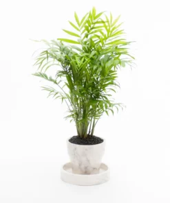 Marble Basic Round Roman Tray - Small