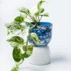 Scout House Gifts Beverly Pot - Blue