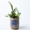 Scout House Wombat Planter Gifts 1 Scout House Wombat Planter Gifts