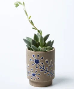 Scout House Galah Planter