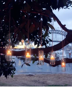 Scout Queen B 6 Hours Tealight Candles With Re-usable Clear Cups -Pack Of 5