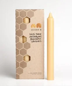 Scout Homewares Queen B Taper Candles Pack Of 4 / 12 Hours Burntime Each Candle