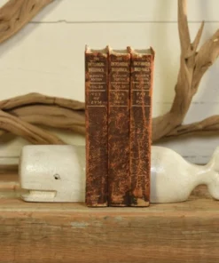 Scout Homewares Cast Iron Whale Bookends In White