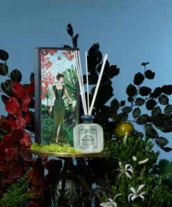 Gifts AMERICA Diffuser By Santa Maria Novella