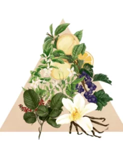 Santa Maria Novella - Angels Of Florence - 1221 Edition