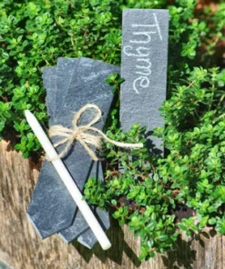 Scout Homewares Slate Plant Labels