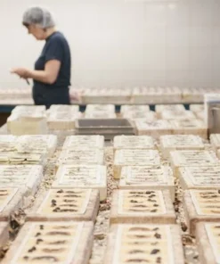 Santa Maria Novella Fresia Scented Wax Tablets