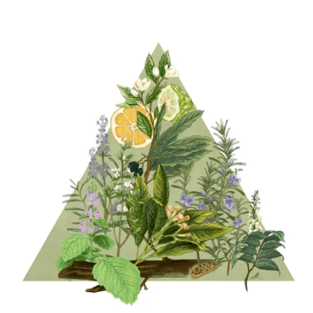 Santa Maria Novella - Pot Pourri - 1221 Edition Gifts 4 Santa Maria Novella - Pot Pourri - 1221 Edition Gifts