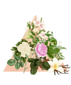 Gifts Santa Maria Novella - Rosa Gardenia - 1221 Edition