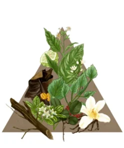 Santa Maria Novella - Tobacco Toscano - 1221 Edition Gifts